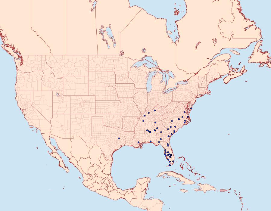 Distribution Data for Leucanopsis longa