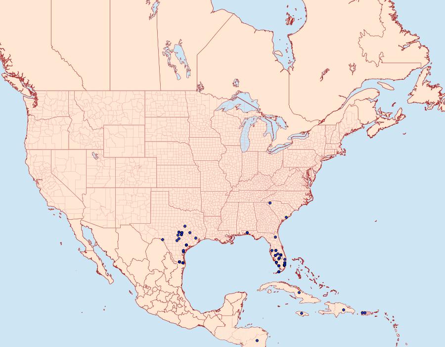 Distribution Data for Pareuchaetes insulata