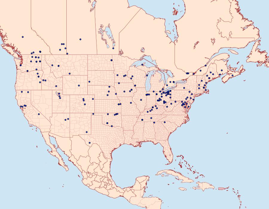 Distribution Data for Cycnia oregonensis