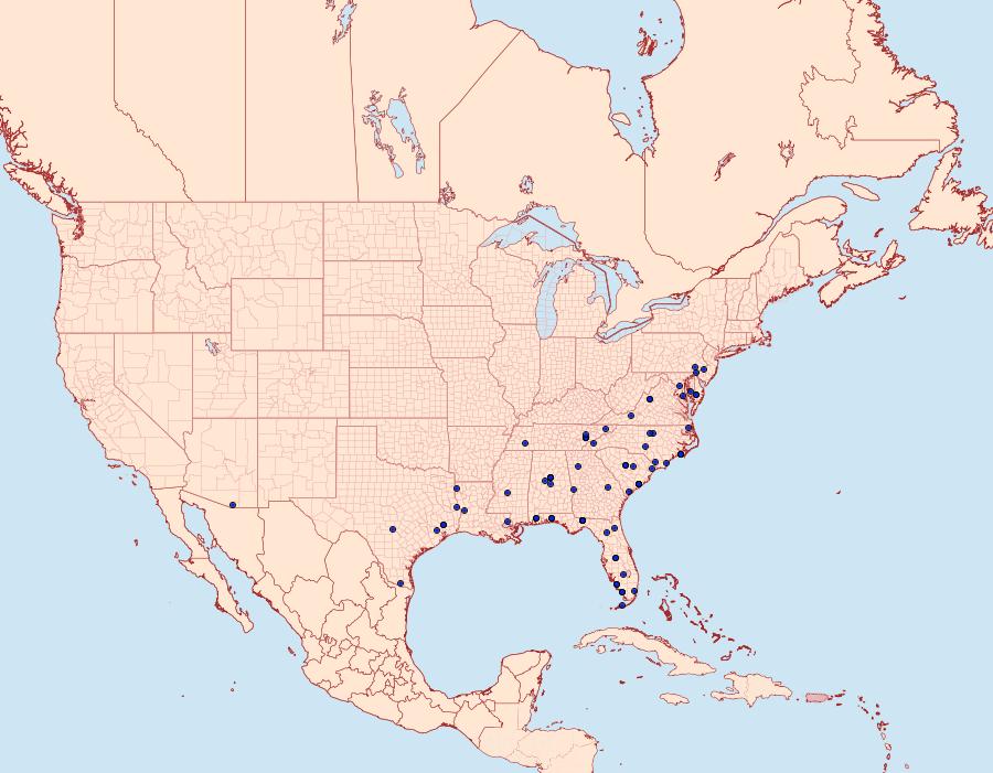 Distribution Data for Redectis pygmaea