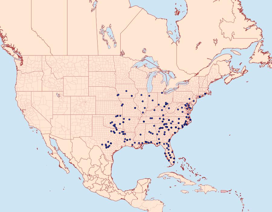 Distribution Data for Phyprosopus callitrichoides