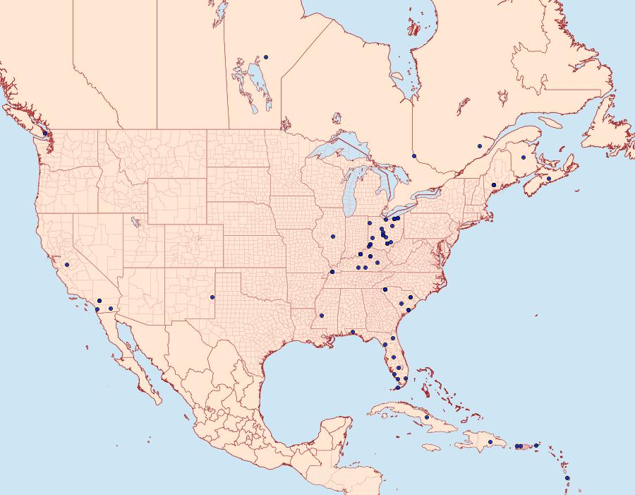 Distribution Data for Alabama argillacea