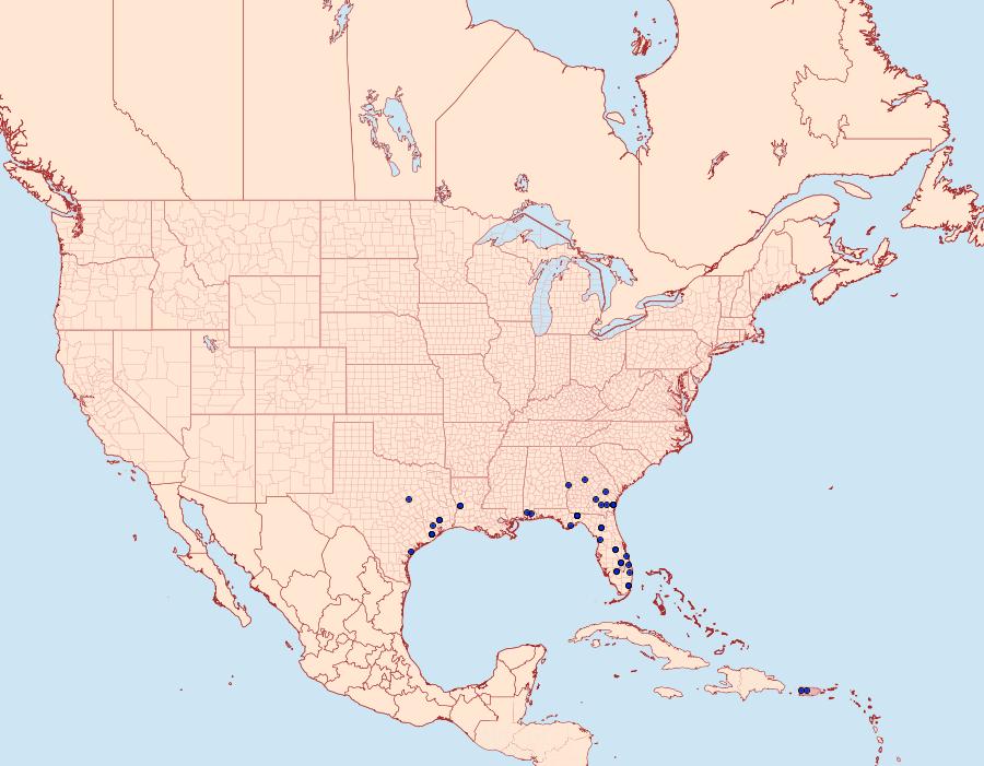 Distribution Data for Epidromia rotundata