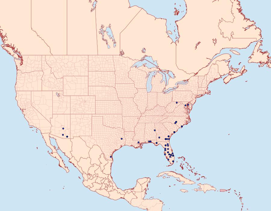Distribution Data for Pseudanthracia coracias