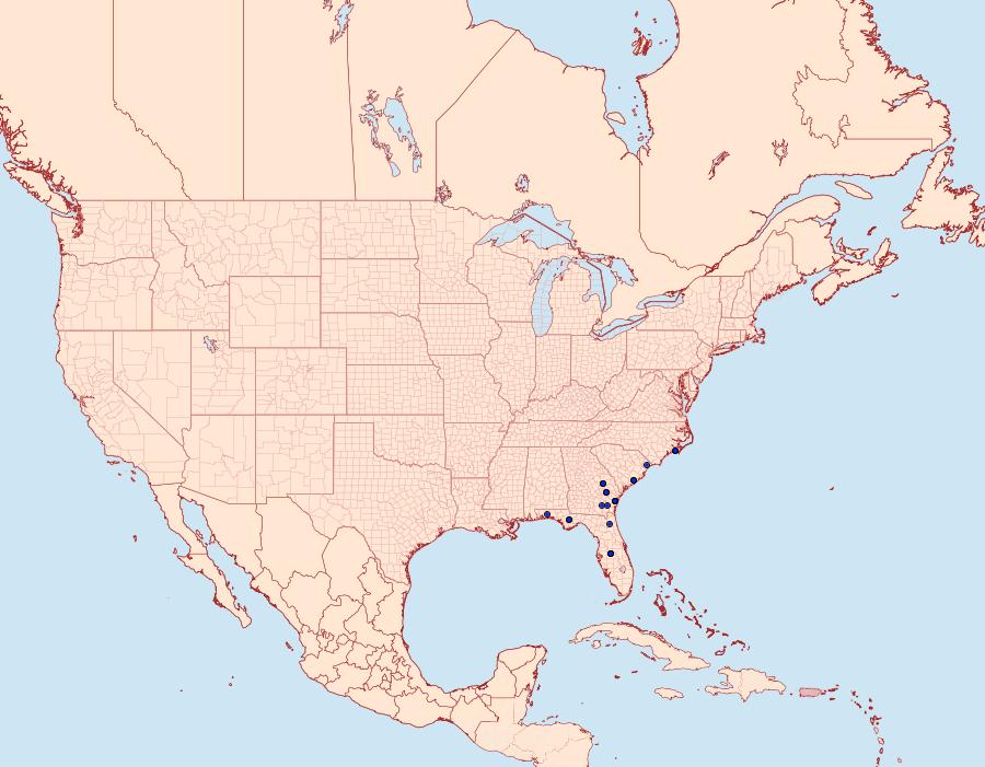 Distribution Data for Gondysia similis