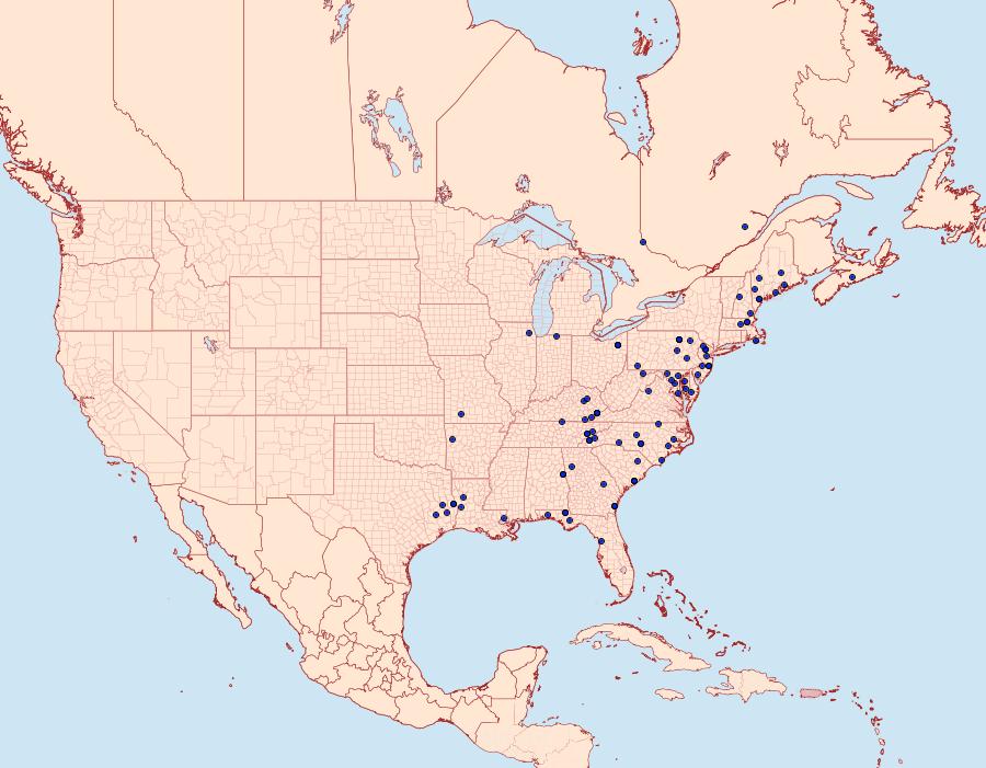 Distribution Data for Catocala gracilis