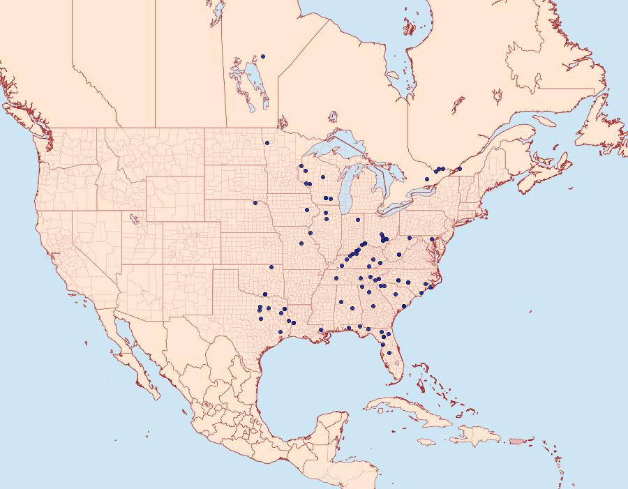 Distribution Data for Catocala clintonii