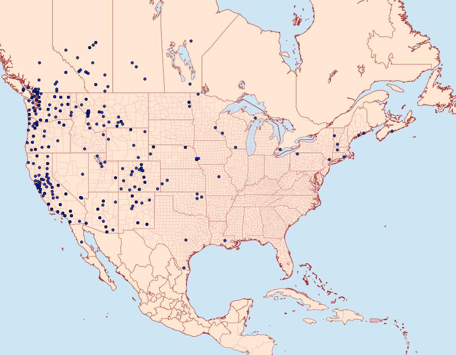 Distribution Data for Autographa californica