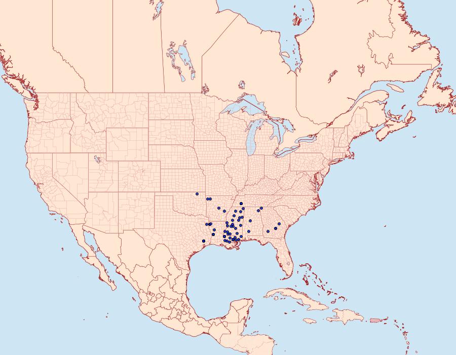 Distribution Data for Baileya acadiana
