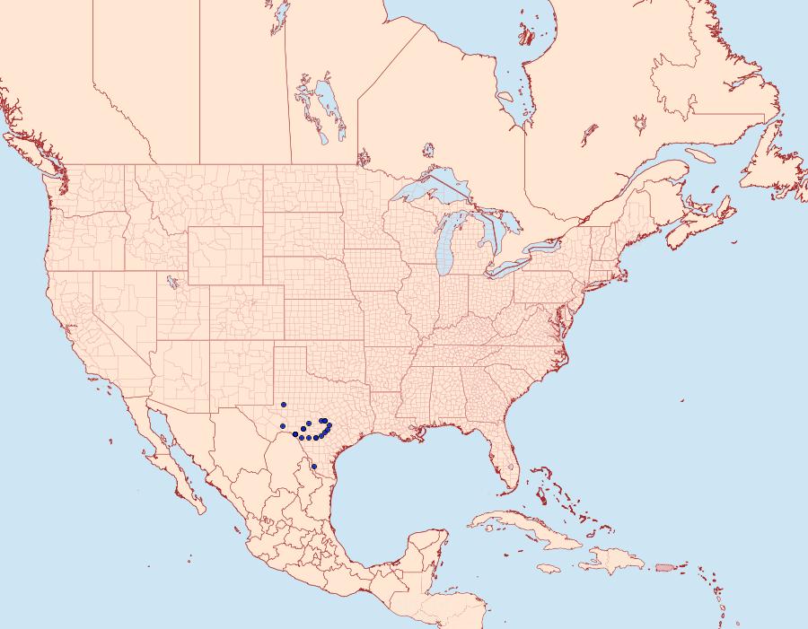 Distribution Data for Cerathosia tricolor