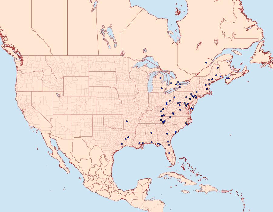 Distribution Data for Acronicta hamamelis