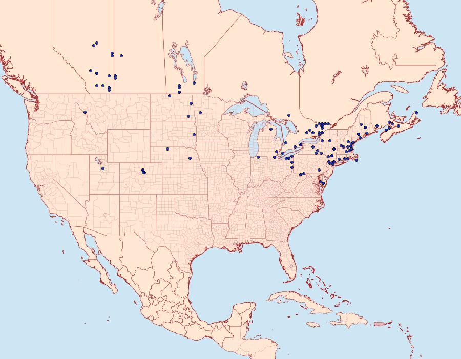 Distribution Data for Acronicta sperata