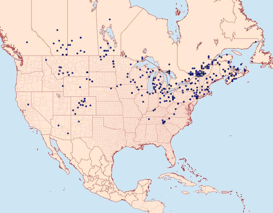 Distribution Data for Apamea lignicolora