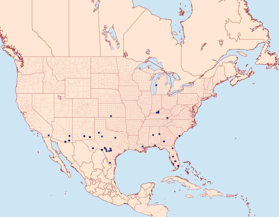 Distribution Data for Dypterygia patina