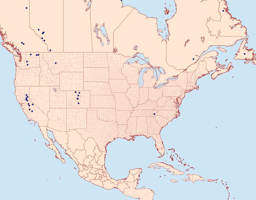 Distribution Data for Hyppa brunneicrista