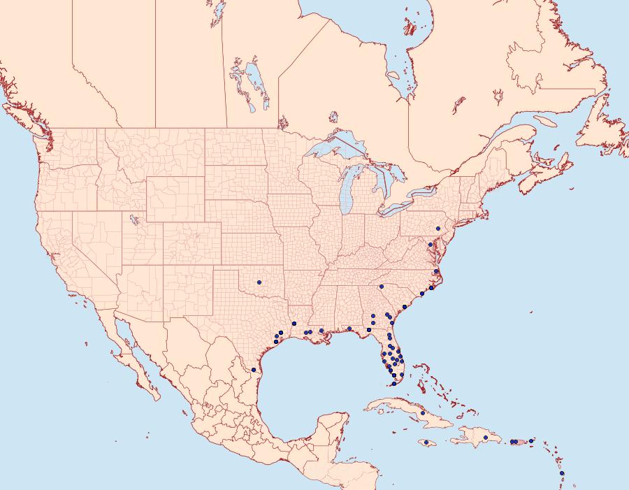 Distribution Data for Elaphria nucicolora