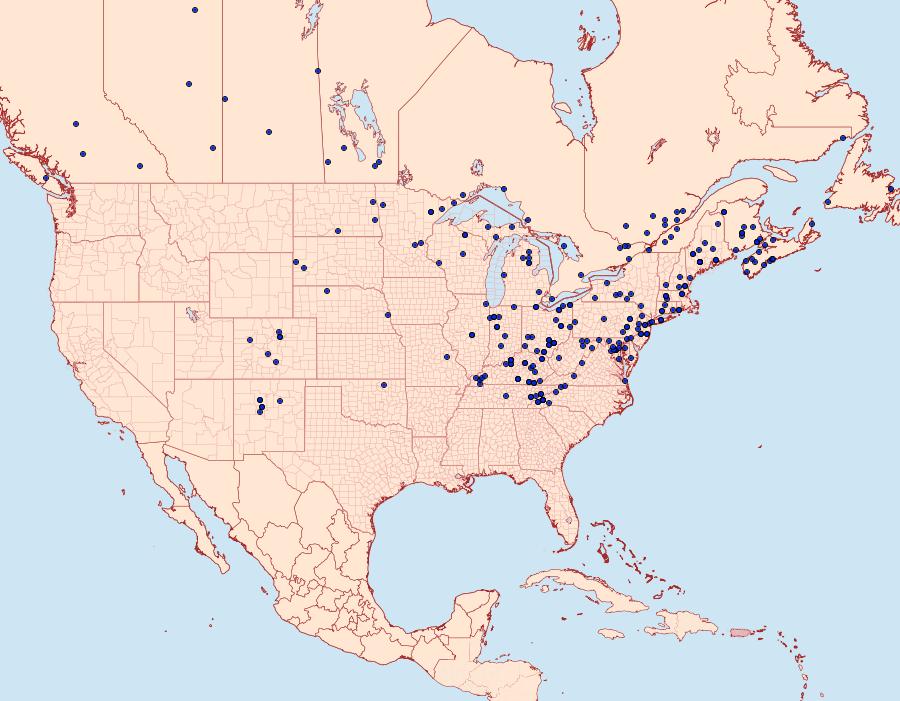 Distribution Data for Elaphria alapallida