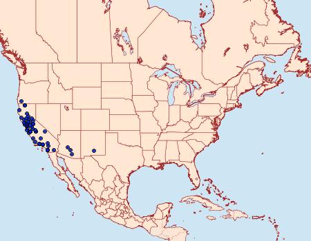 Distribution Data for Cucullia serraticornis