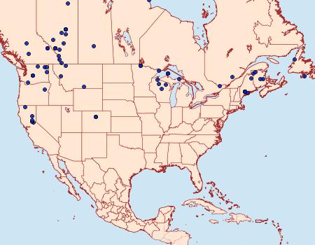 Distribution Data for Lacanobia nevadae