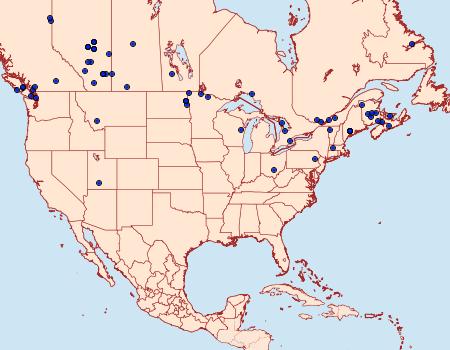 Distribution Data for Lacanobia atlantica