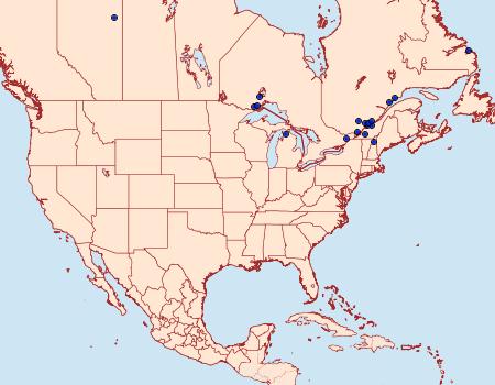 Distribution Data for Lasionycta anthracina