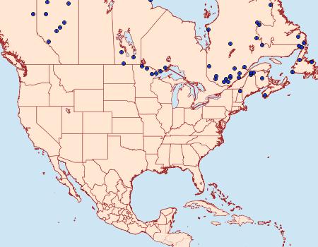 Distribution Data for Lasionycta taigata