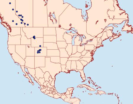 Distribution Data for Lasionycta impingens