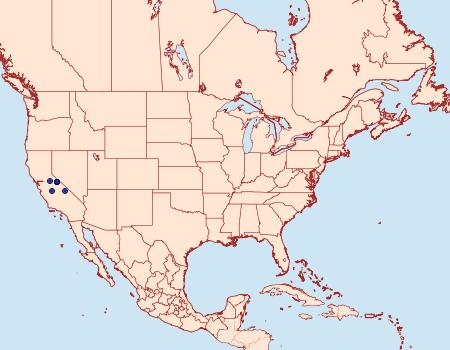 Distribution Data for Lasionycta sierra