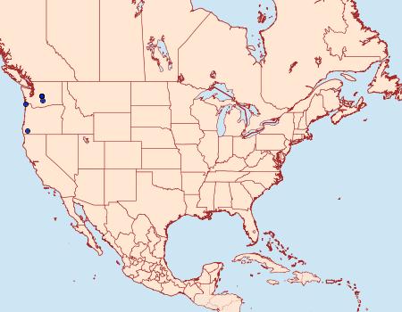 Distribution Data for Lasionycta sasquatch
