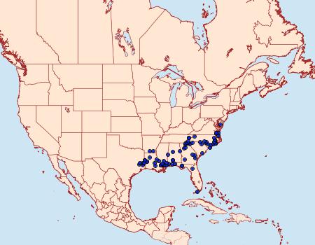 Distribution Data for Morrisonia triangula