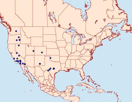 Distribution Data for Nudorthodes texana