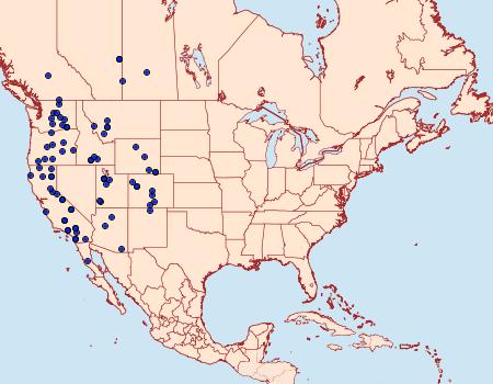 Distribution Data for Euxoa brevipennis