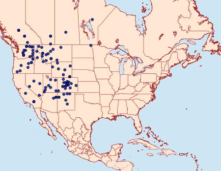 Distribution Data for Euxoa auripennis