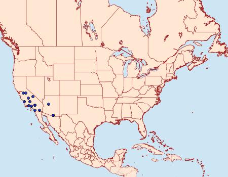 Distribution Data for Ufeus faunus