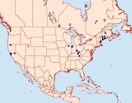 Distribution Data for Coleophora multipulvella