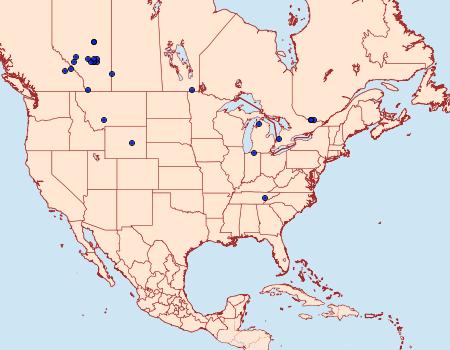 Distribution Data for Coleophora elaeagnisella