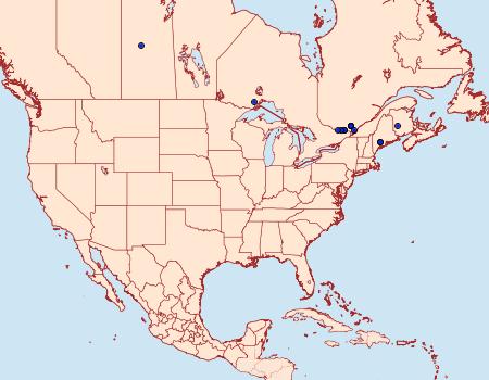 Distribution Data for Coleophora salicivorella
