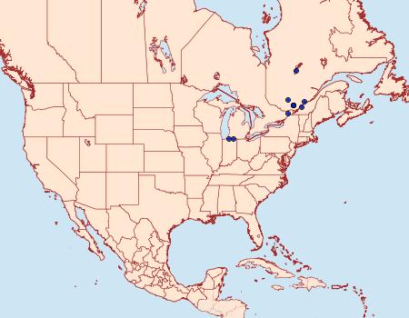 Distribution Data for Coleophora lentella