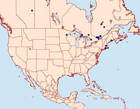 Distribution Data for Coleophora comptoniella