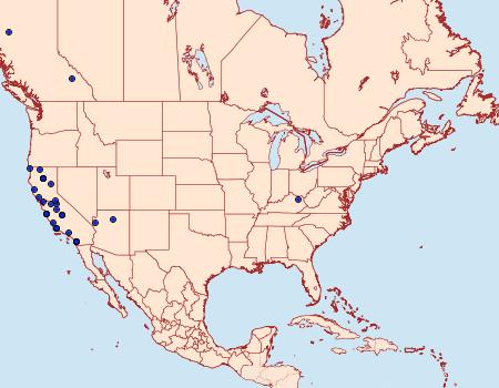 Distribution Data for Coleophora glaucella