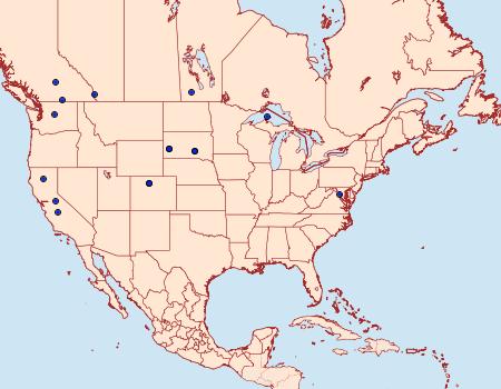 Distribution Data for Coleophora acutipennella