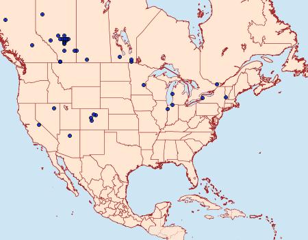 Distribution Data for Coleophora sparsipulvella