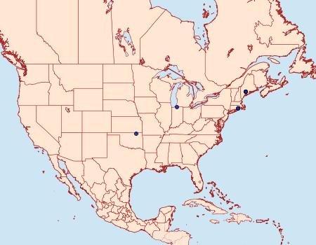 Distribution Data for Coleophora argentialbella