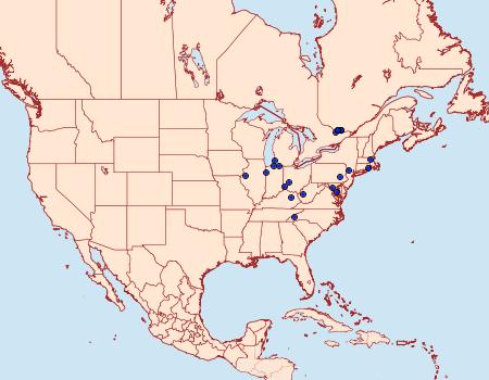 Distribution Data for Coleophora borea