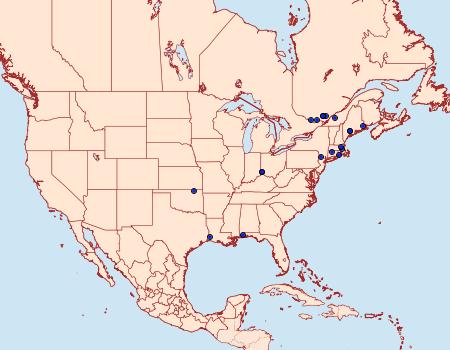 Distribution Data for Coleophora fagicorticella