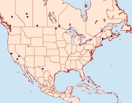 Distribution Data for Coleophora maritella
