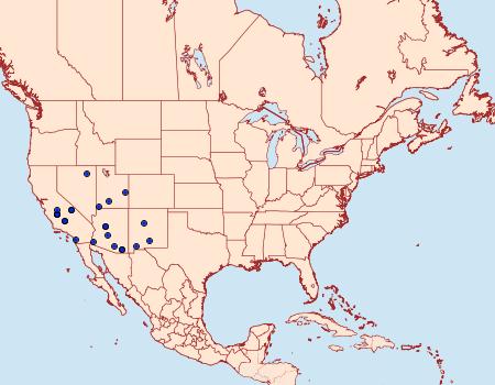 Distribution Data for Coleophora parthenica