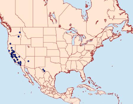 Distribution Data for Stagmatophora iridella