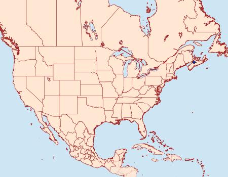 Distribution Data for Alloclemensia americana