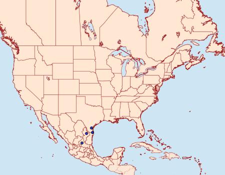 Distribution Data for Prodoxus tamaulipellus